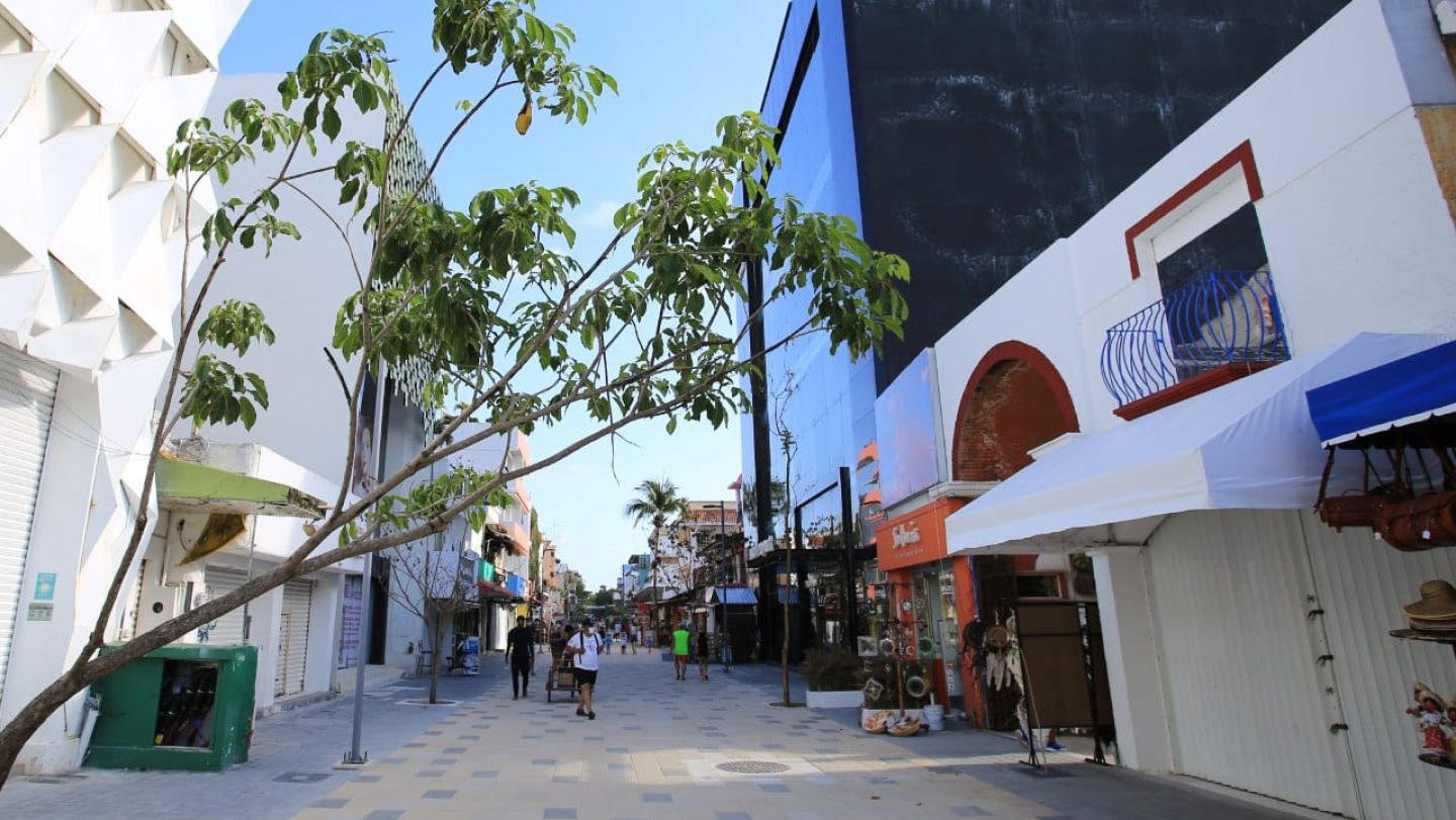 Quinta Avenida