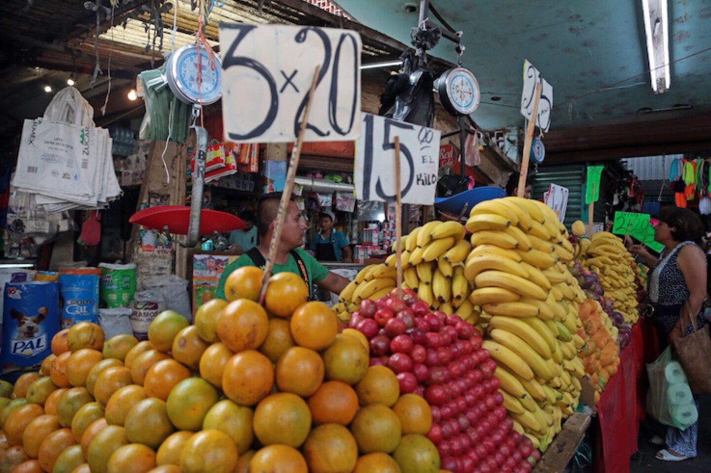 Mercado Adolfo López Mateos Cuernavaca Morelos