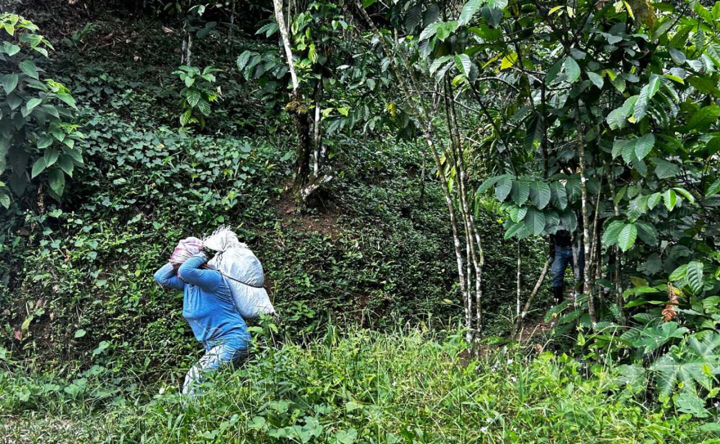 jornaleros migrantes México
