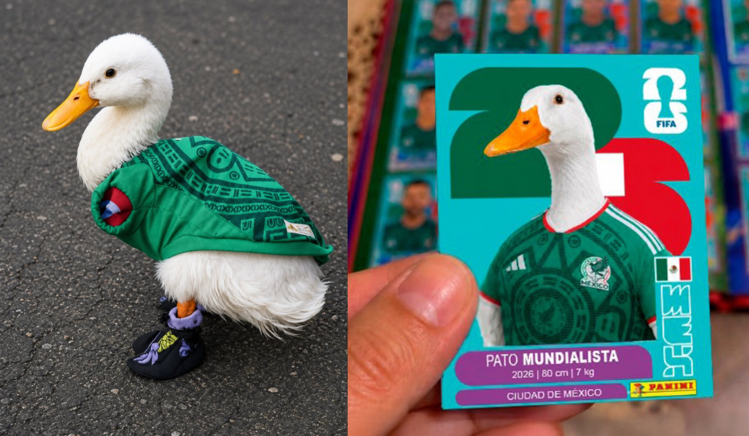 Pato Merlin Merlín, el pato del Mundial 2026, llega al Fan Fest del Zócalo en CDMX ...