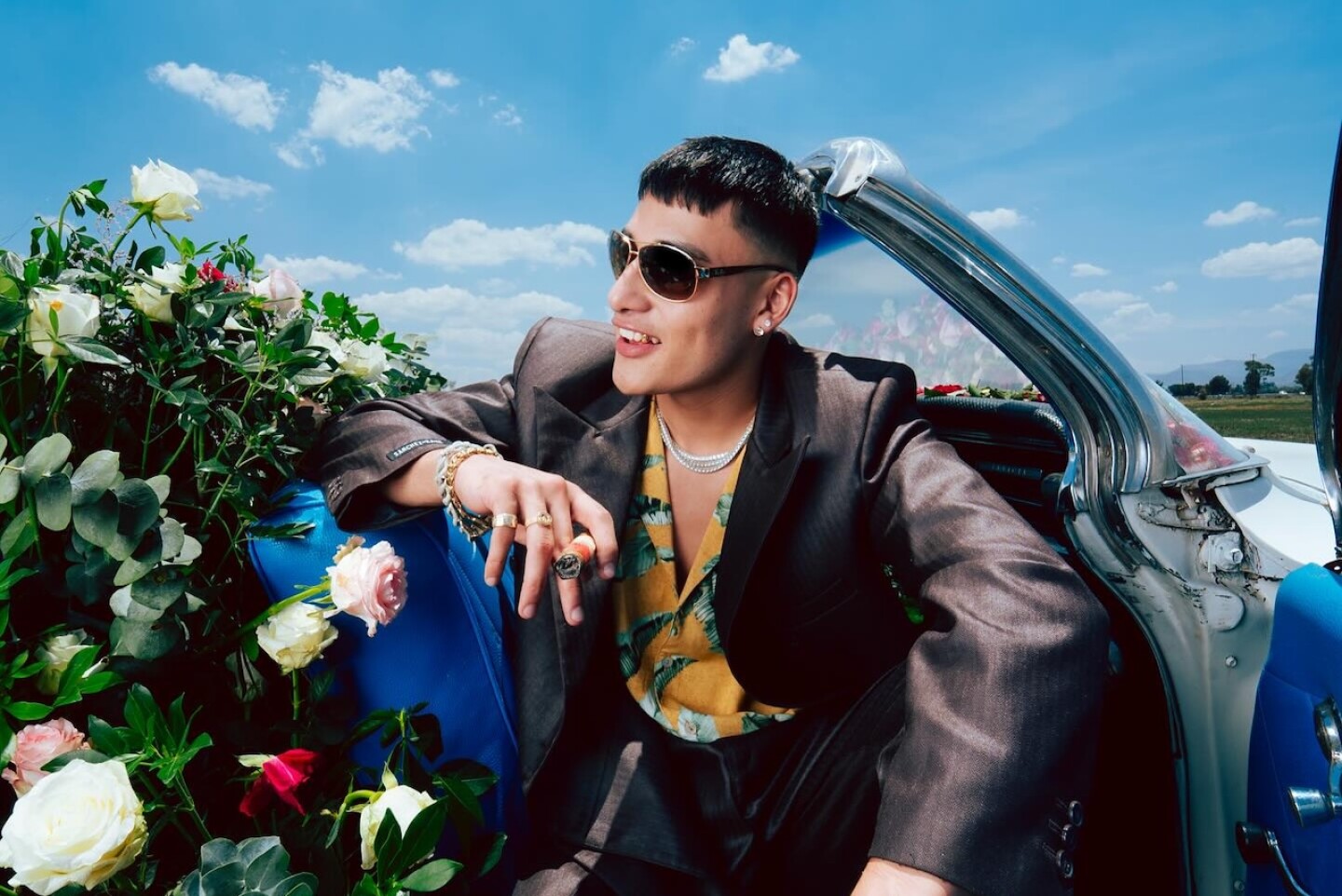 el-malilla-auditorio-bb