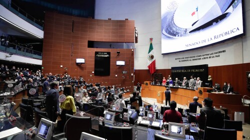 senadora-pvem-dia-nacional-del-hombre