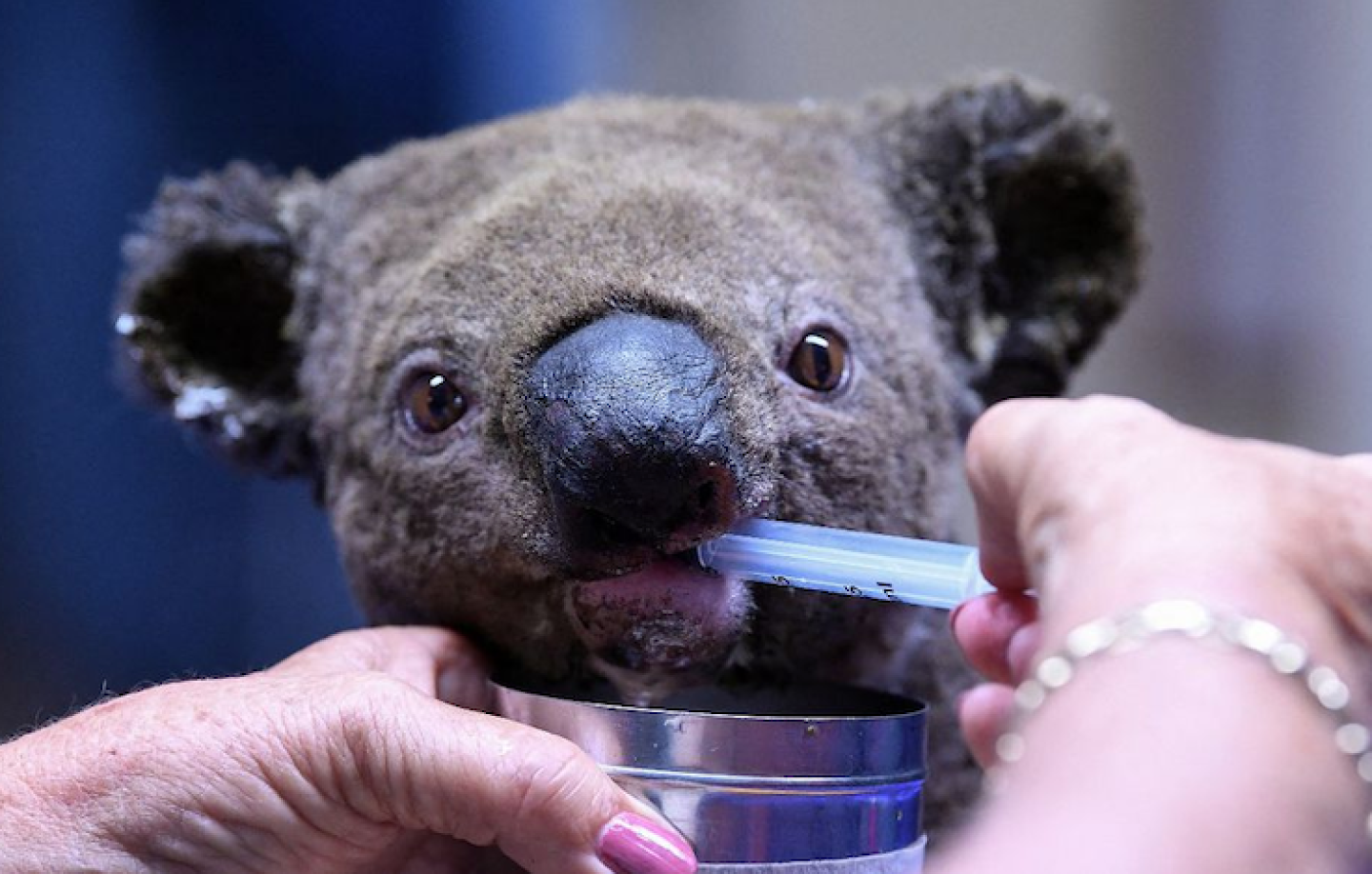 Captura de Pantalla 2022-02-11 a la(s) 7.15.19