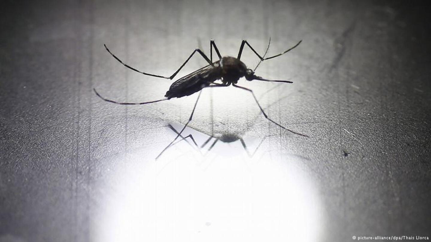 zika