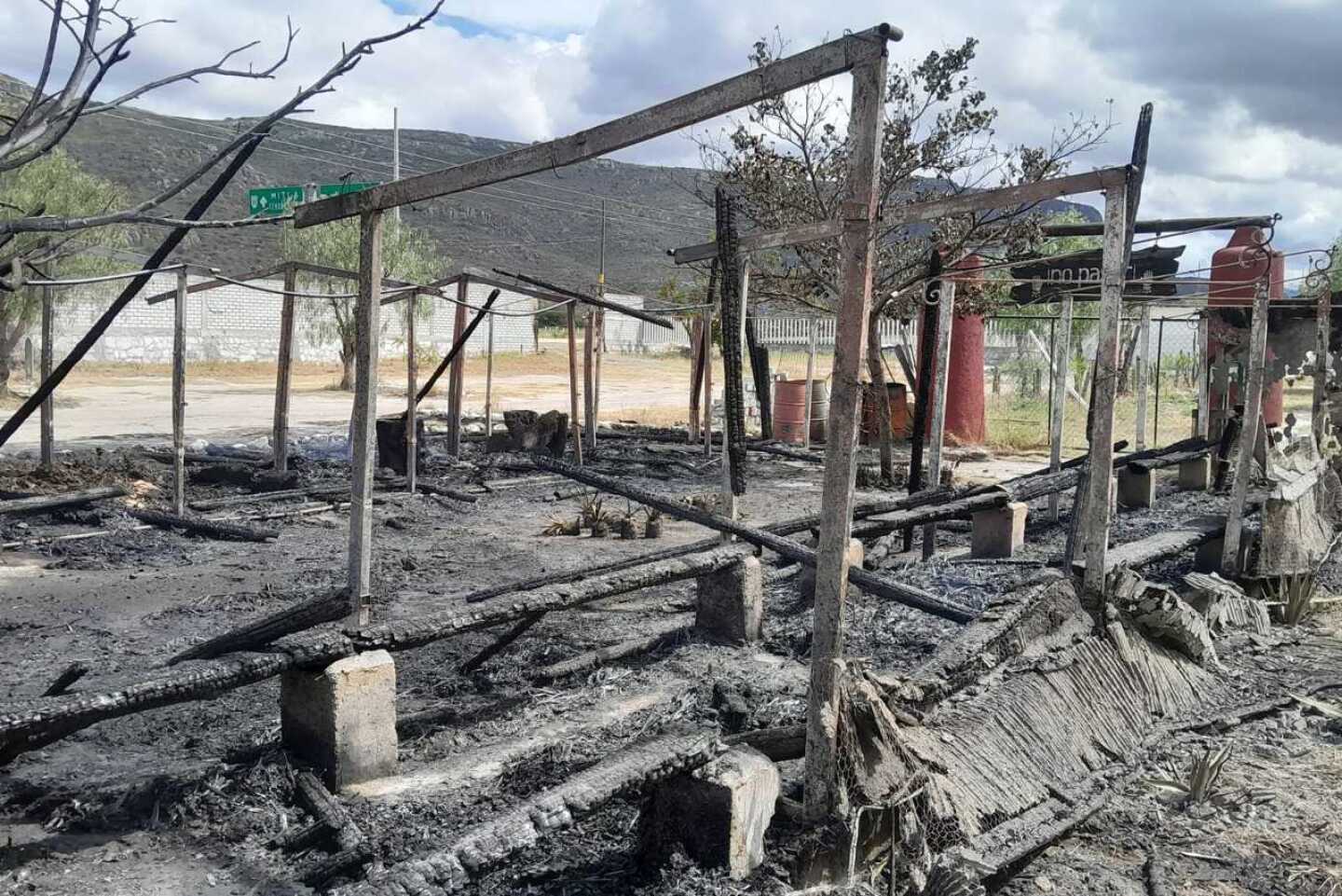 incendio zoológico (1)