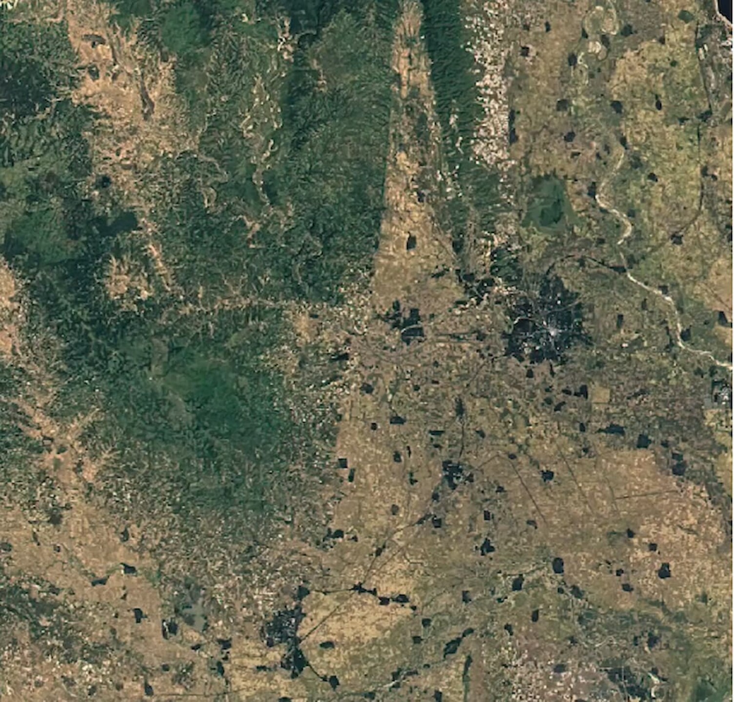 v3-3-Catastrofe-para-la-biodiversidad-asi-podria-ser-el-mundo-en-2050-si-no-actuamos-ya