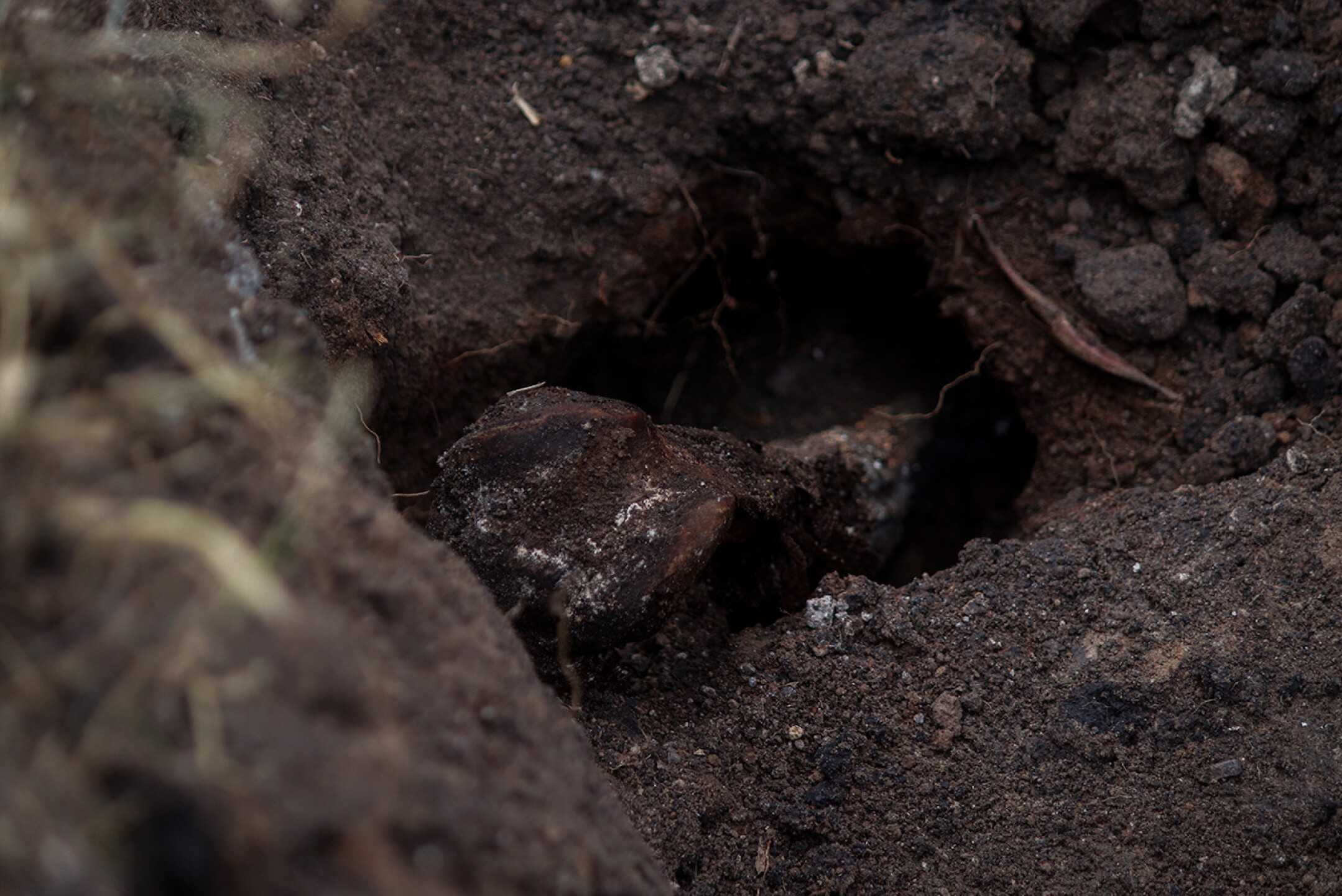 9A3DBADA-3903-4CB3-AA03-8372E4EA117F