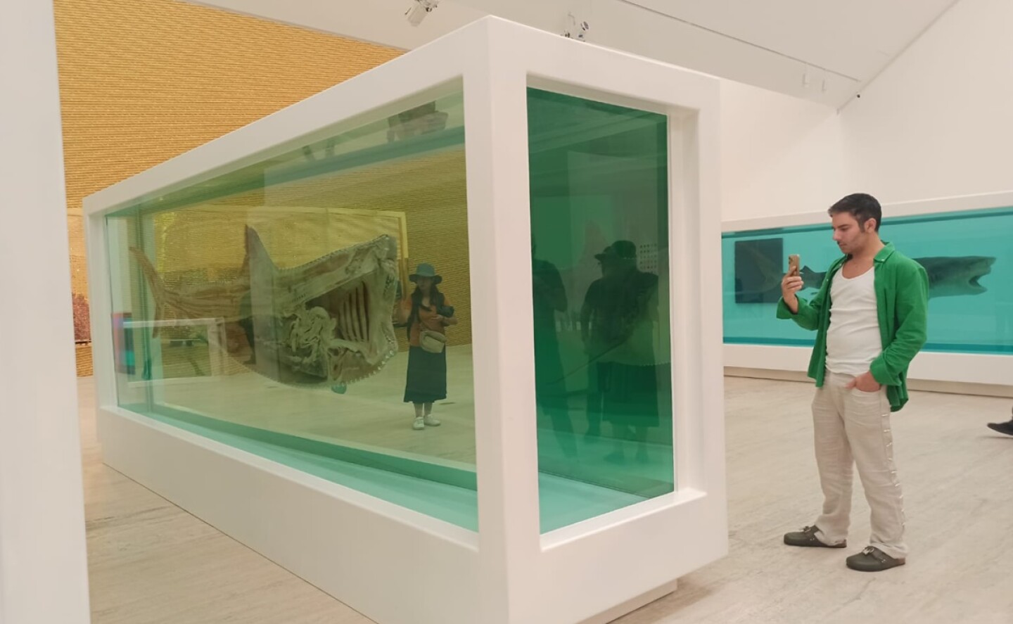 exposicion_damien_hirst_museo_jumex_0