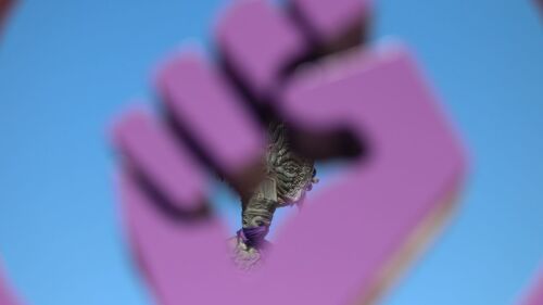 Exigen justicia para Ana María