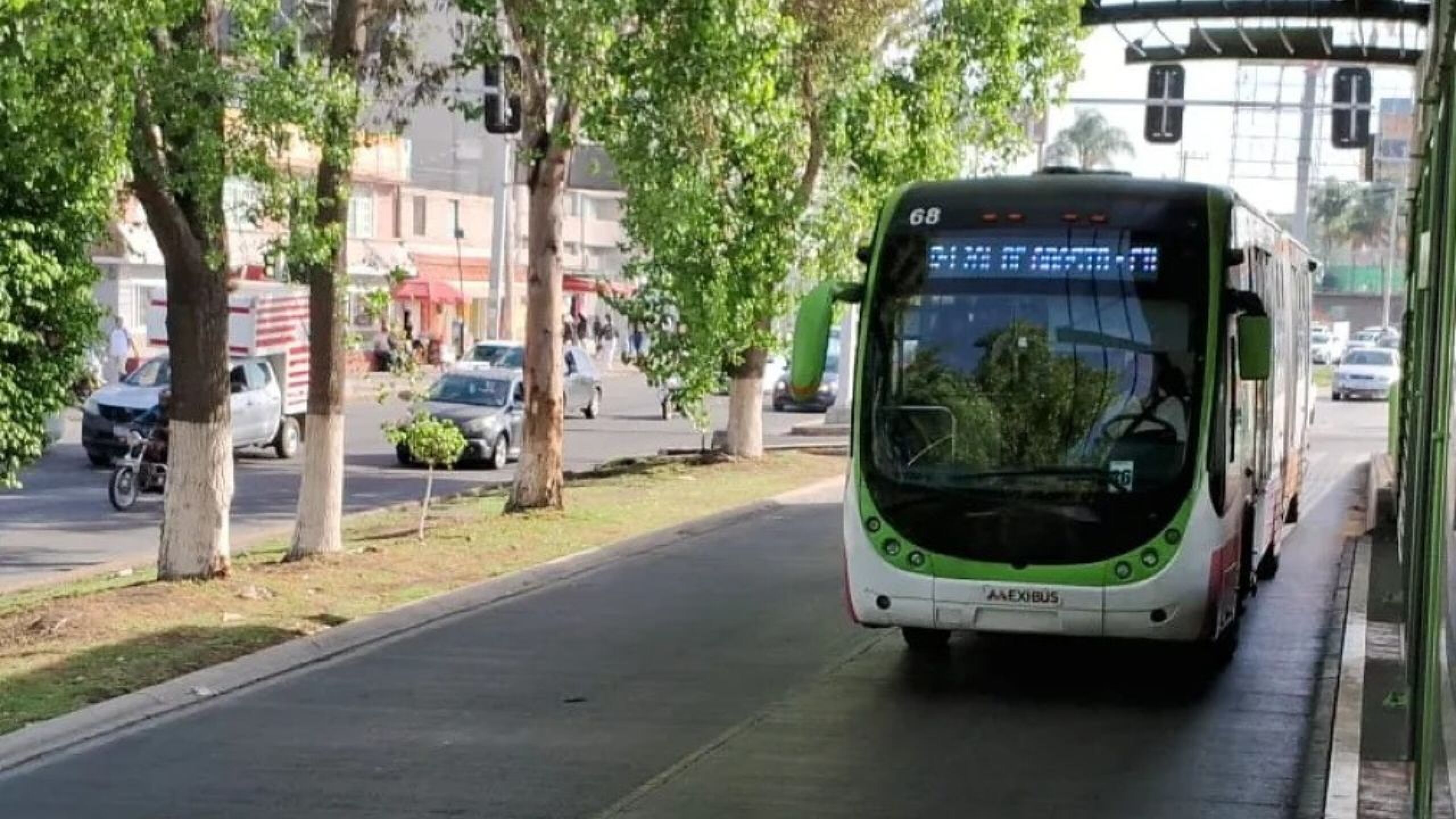 Nueva Línea Mexibús (1).jpg