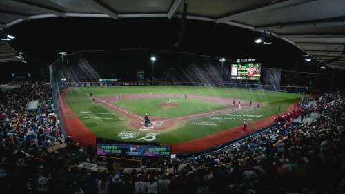 lmb-playoffs-2025.jpg