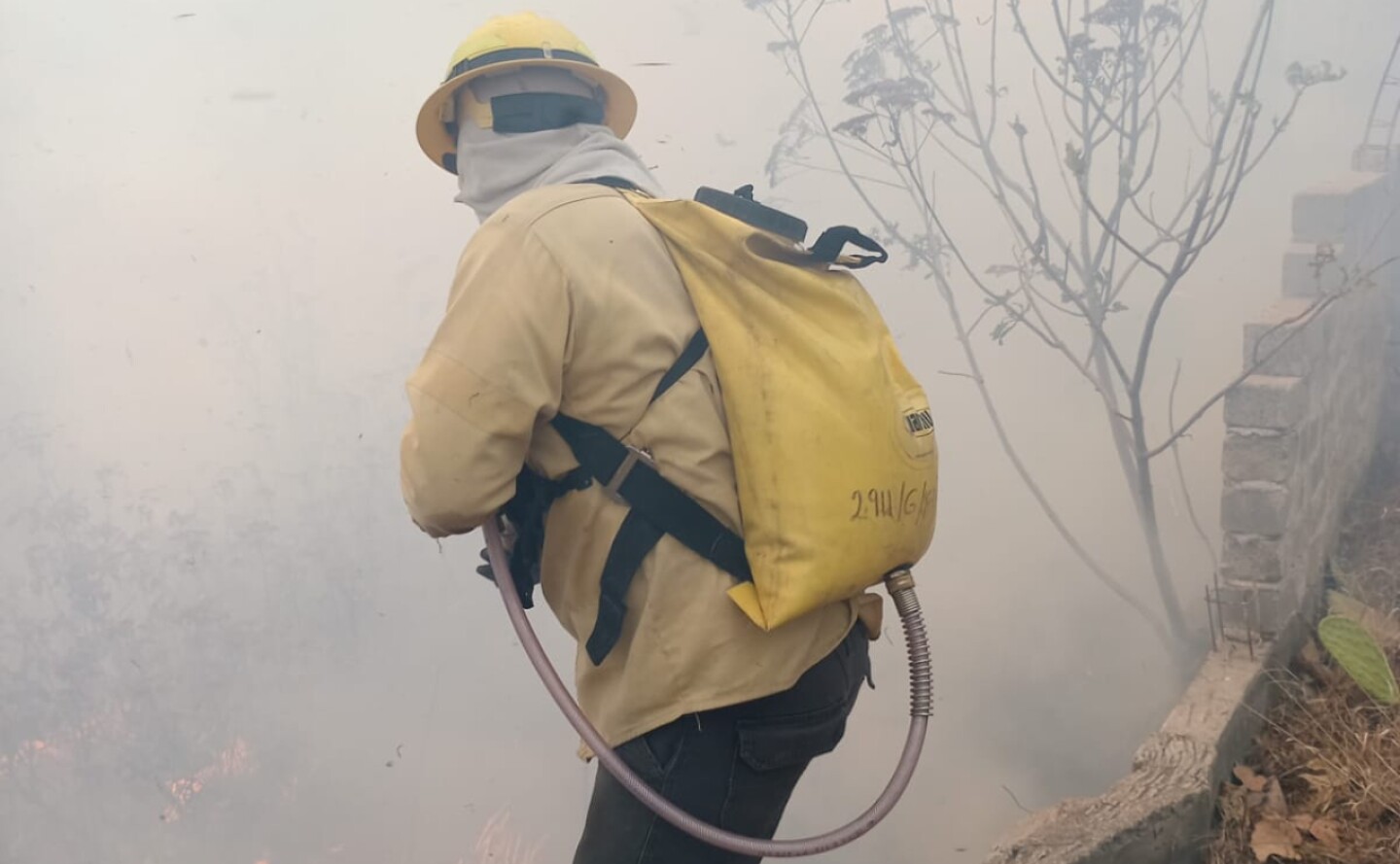 incendio-bosque-la-primavera