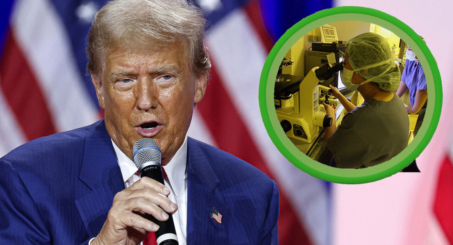 Foto de Donald Trump jpg