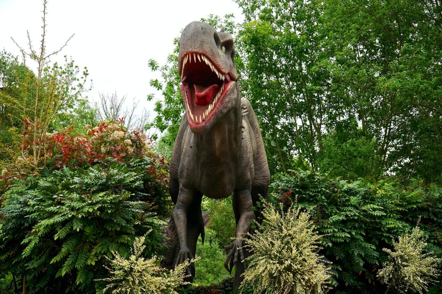 dinosaurio