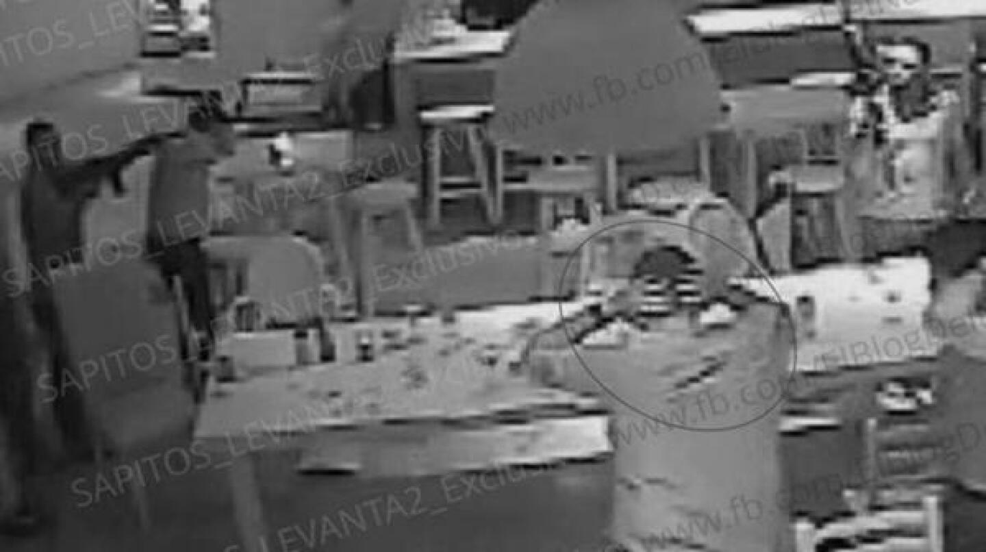 alfredo_guzman_vallarta