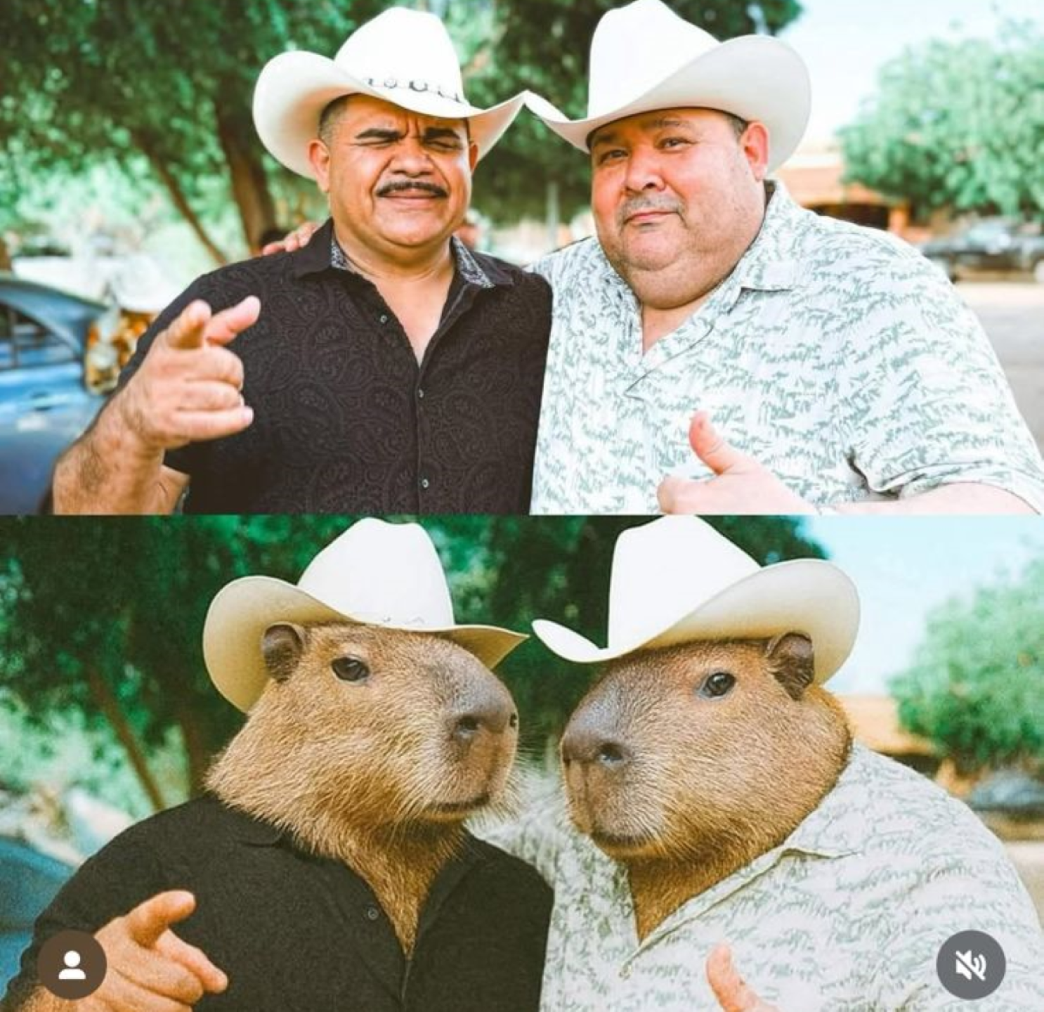 capibaras-tour-2025-1.png
