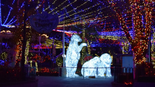 christmas in the park
