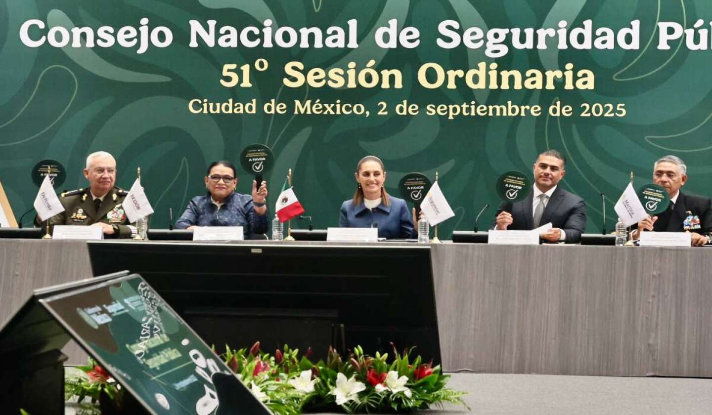 rosa-icela-rodriguez-consejo-nacional-seguridad1.jpg