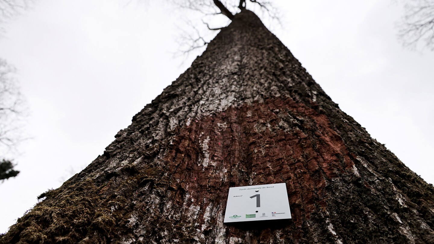FRANCE-HERITAGE-RELIGION-NOTRE DAME-FIRE