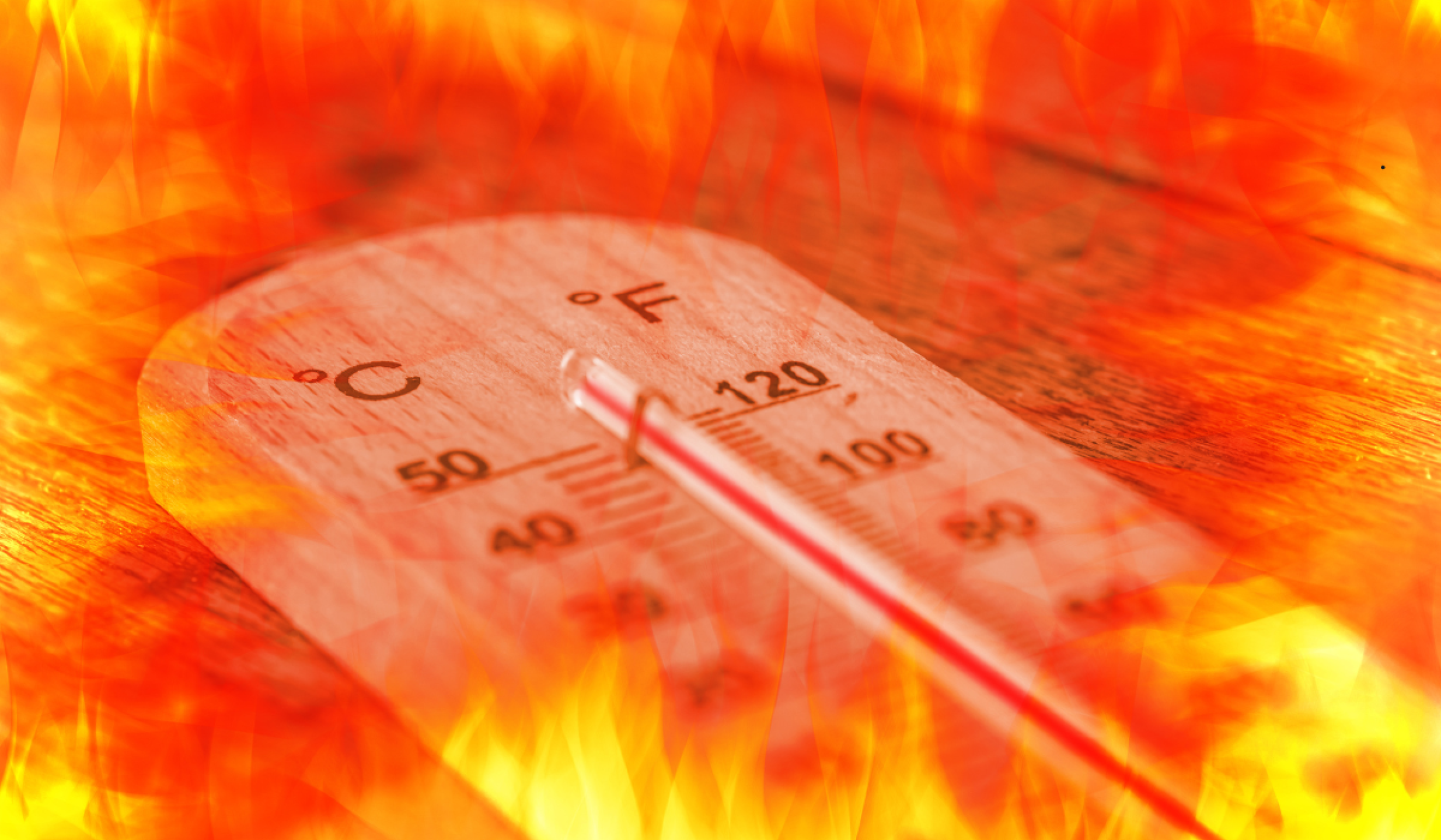 cambio climático