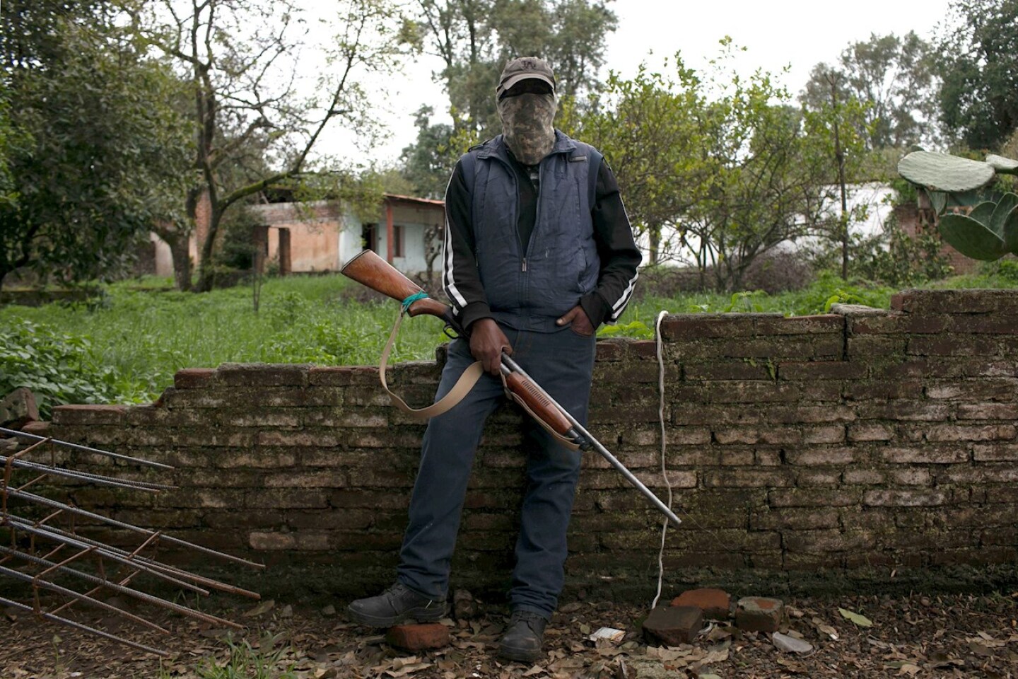 Michoacan-aguacate