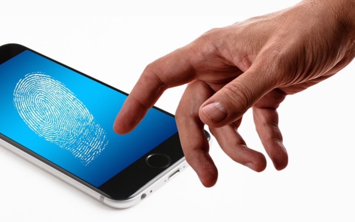 datos_biometricos