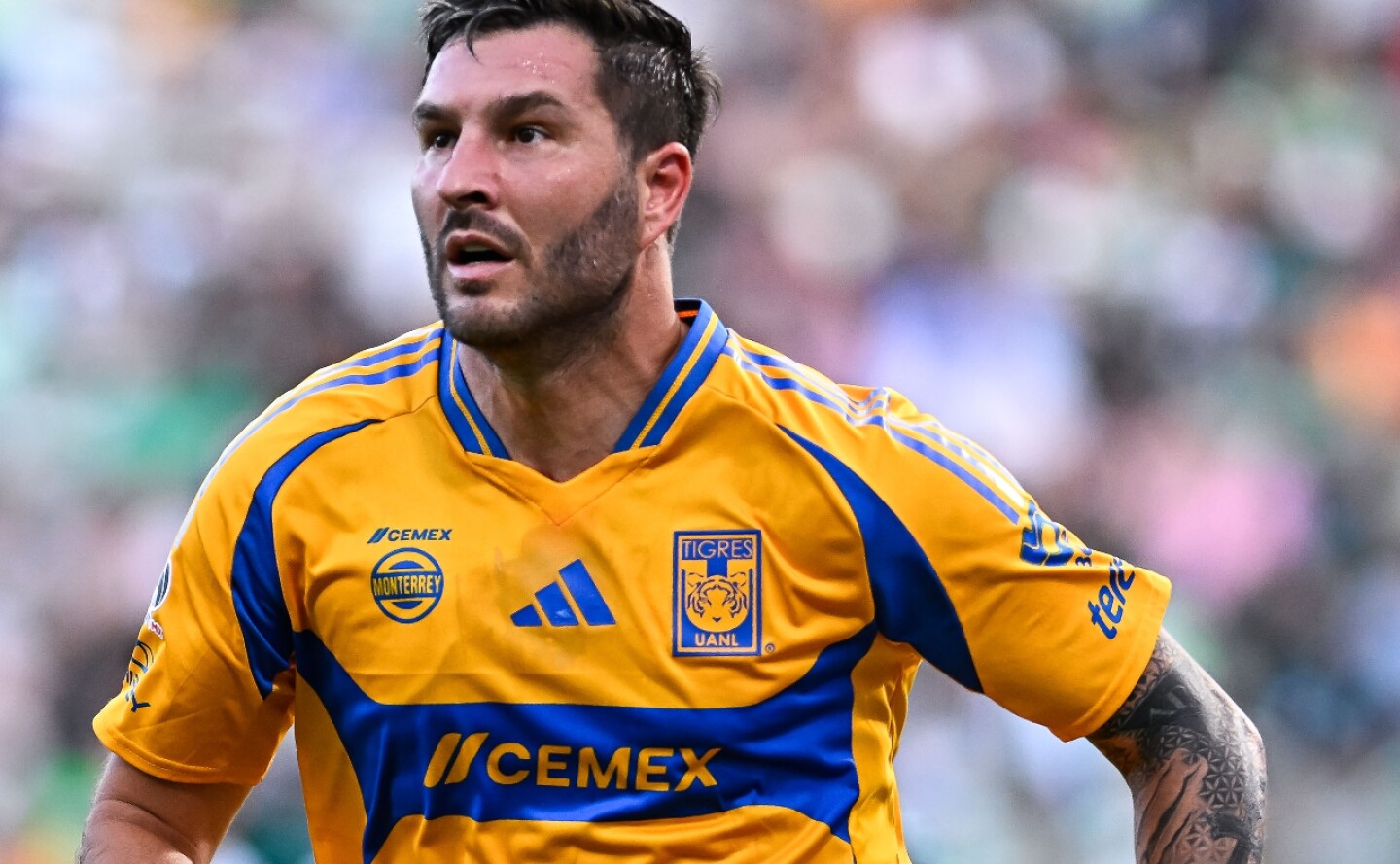 resultados-jornada-4-apertura-2024-liga-mx