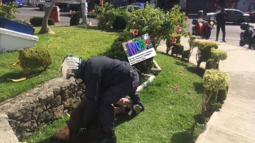 balacera-avenida-univeridad-cuernavaca