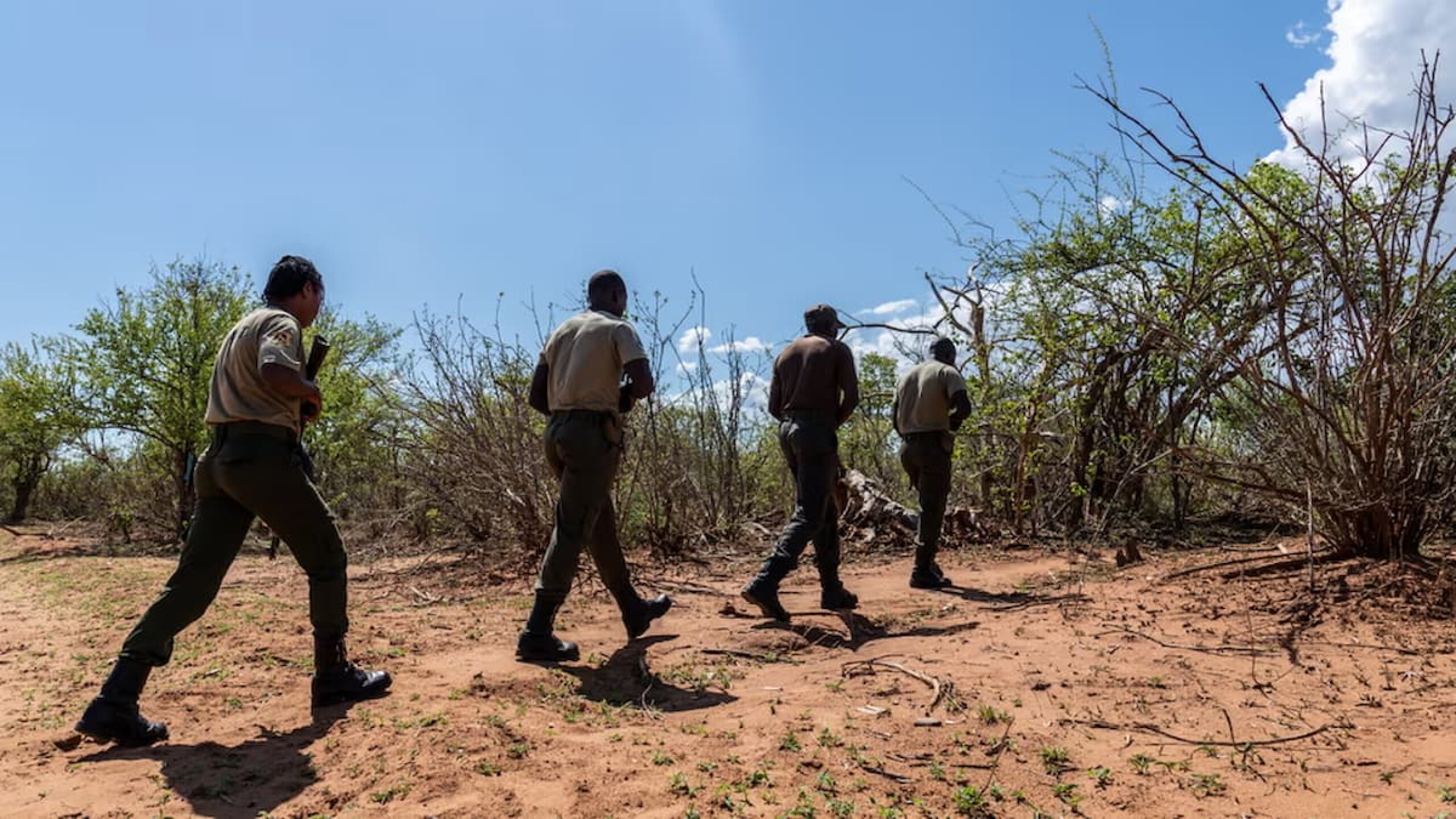 Zambia-2