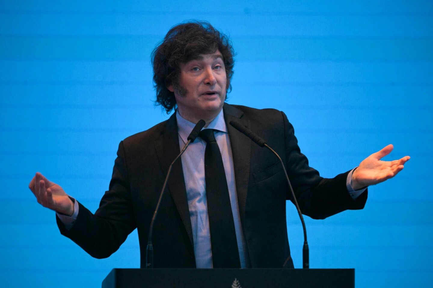 ARGENTINA-ECONOMY-IEFA-MILEI