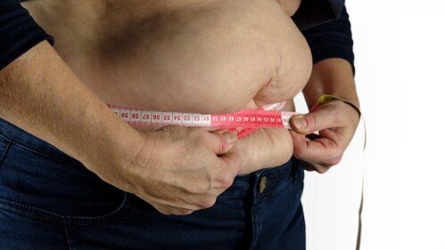 El eterno fracaso de la lucha contra la obesidad