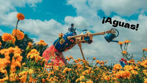 frases mexicanas