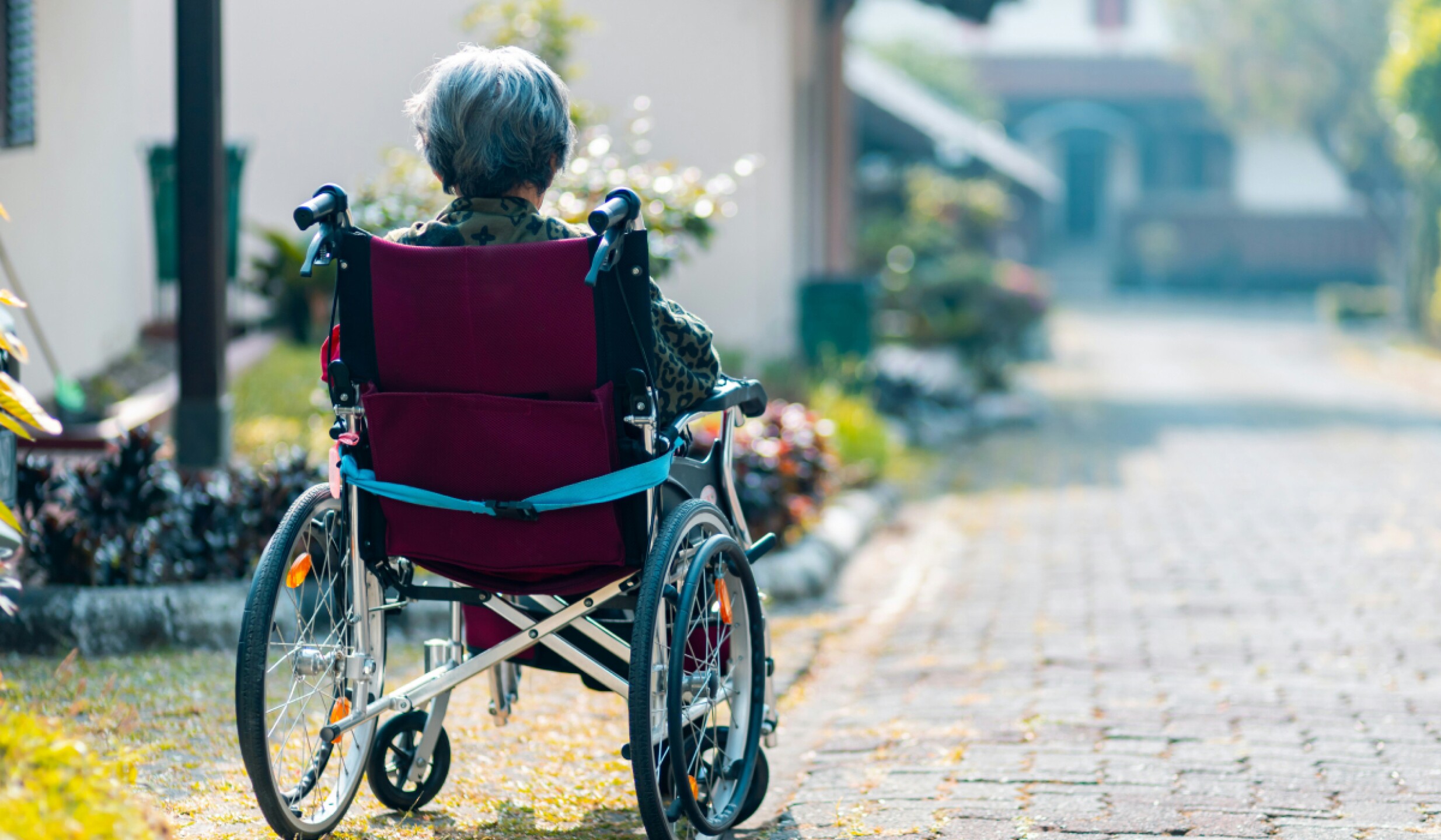 app mexiana parkinson(2).jpg