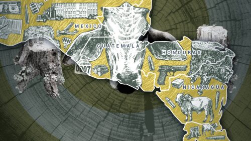 contrabando-de-ganado