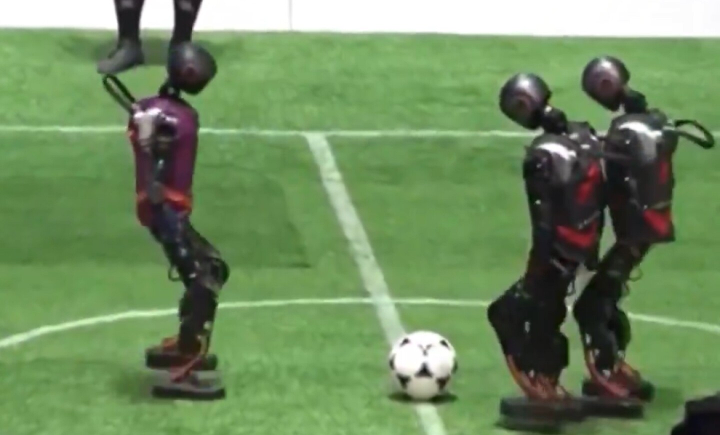 Robots mundial