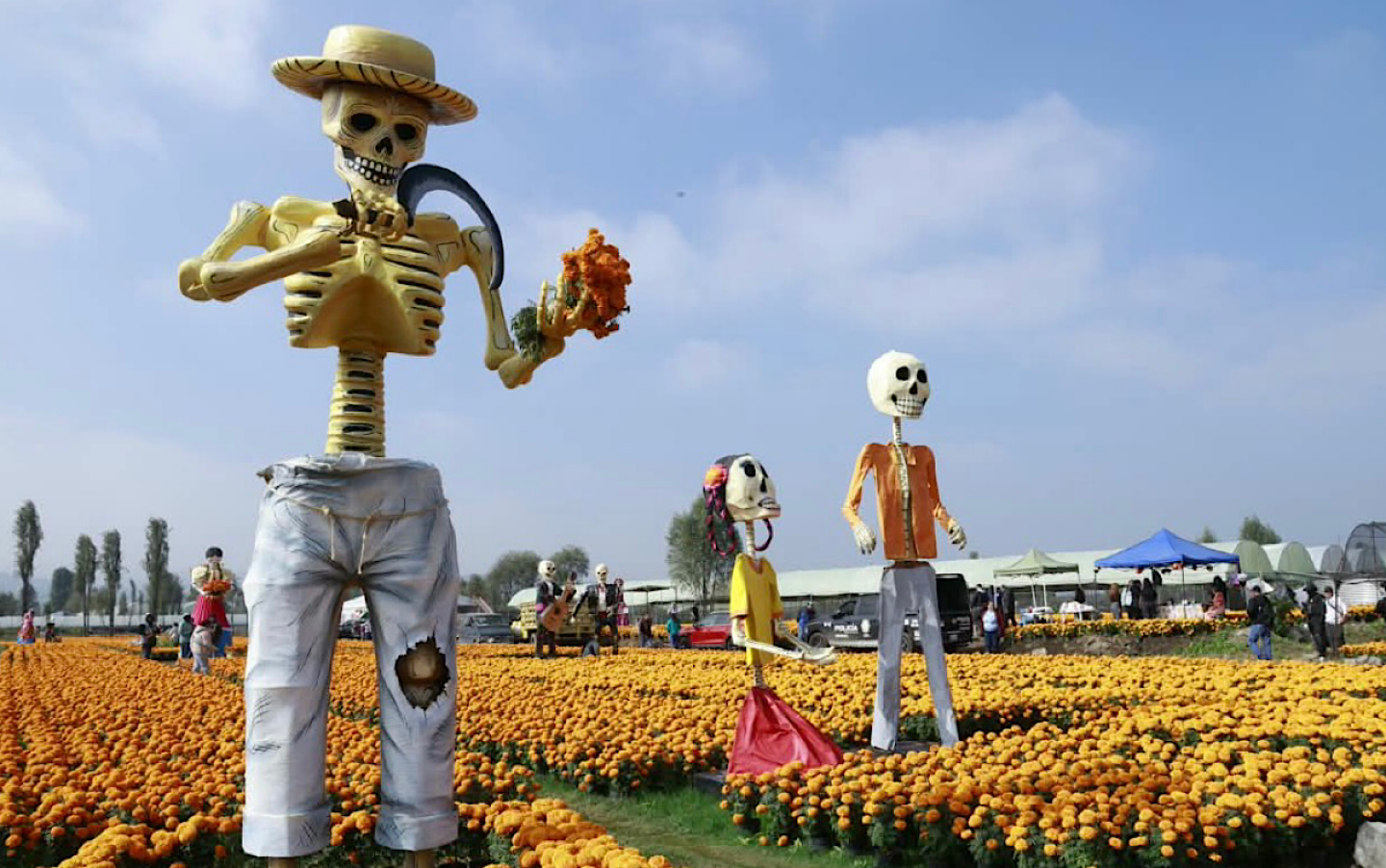 Ciudad de México anuncia más de cinco mil actividades para Día de Muertos; preparan Catrina monumental de 32 metros