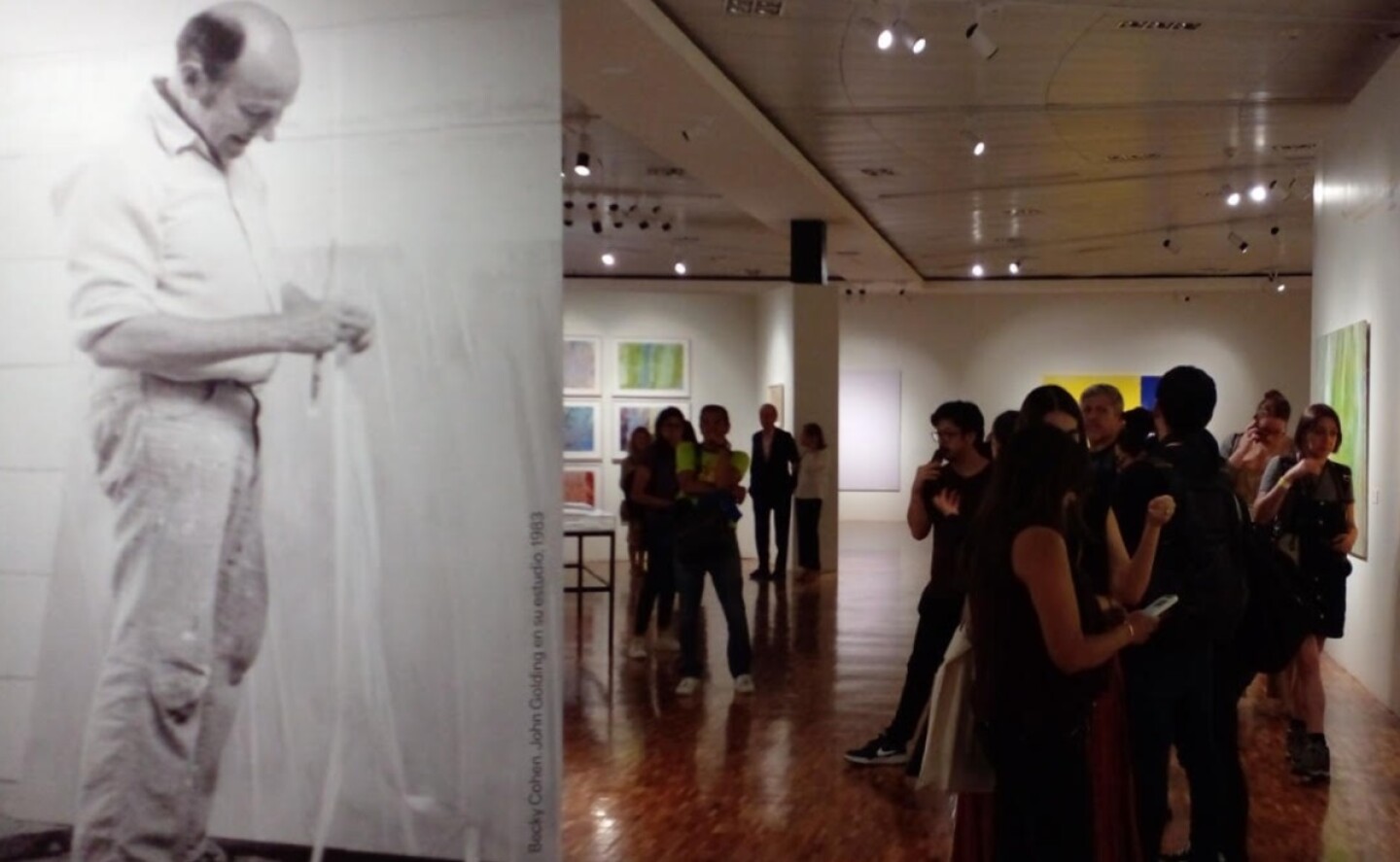 john_golding_exposicion_mexico_museo_arte_moderno_