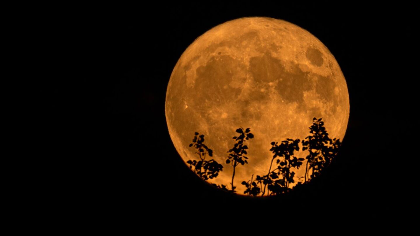 luna de ciervo