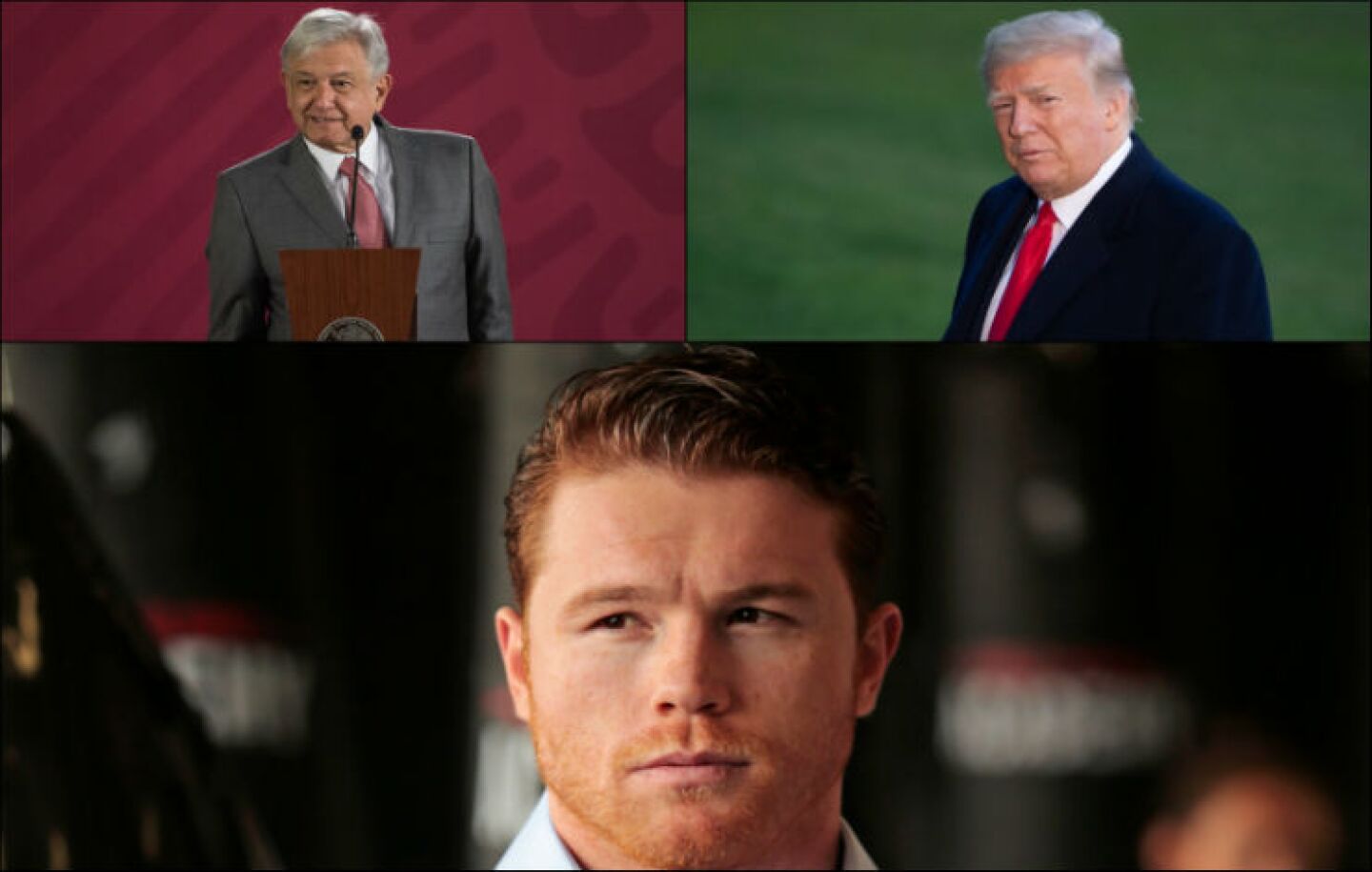 Collage Canelo