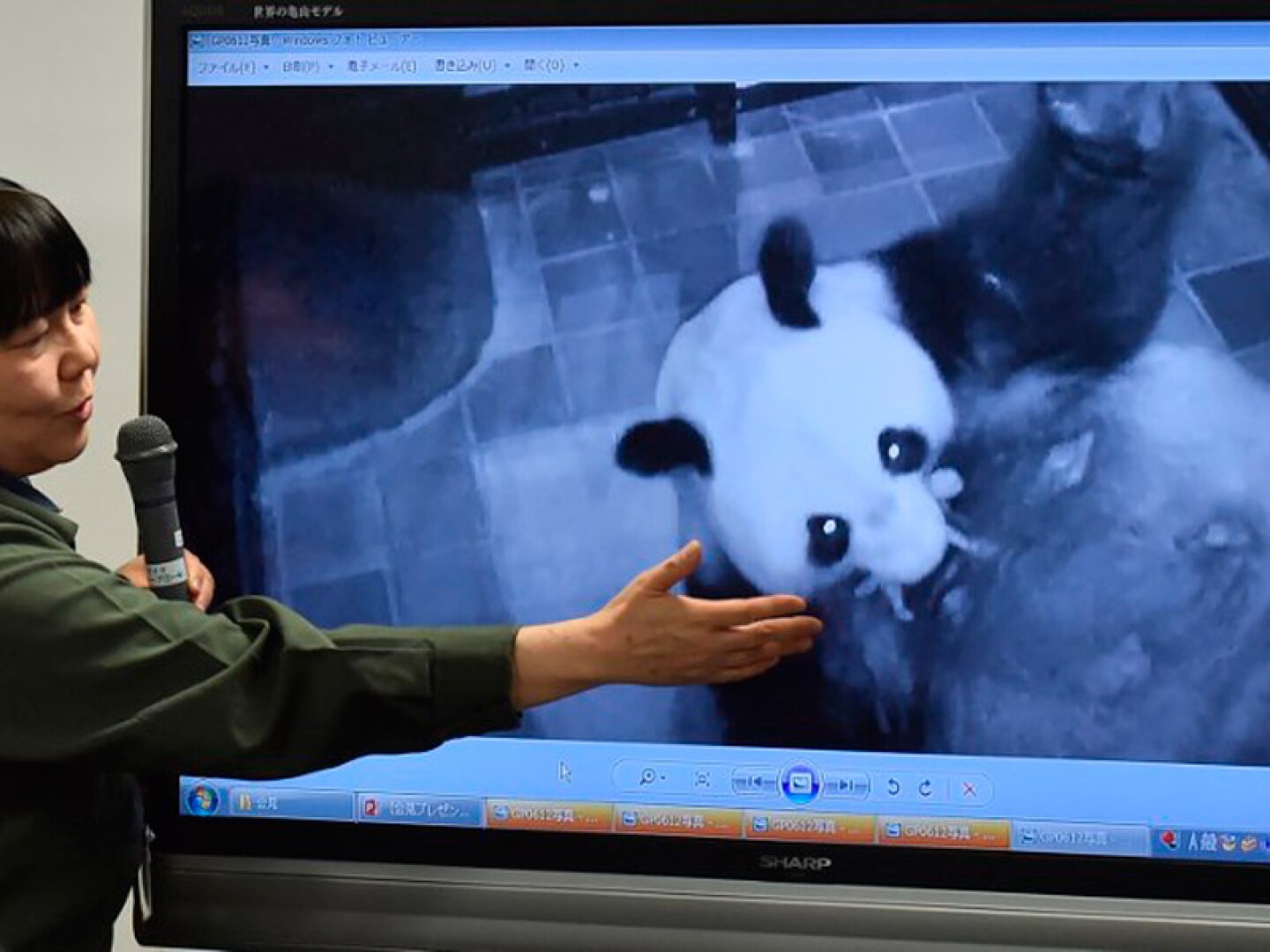 panda-afp