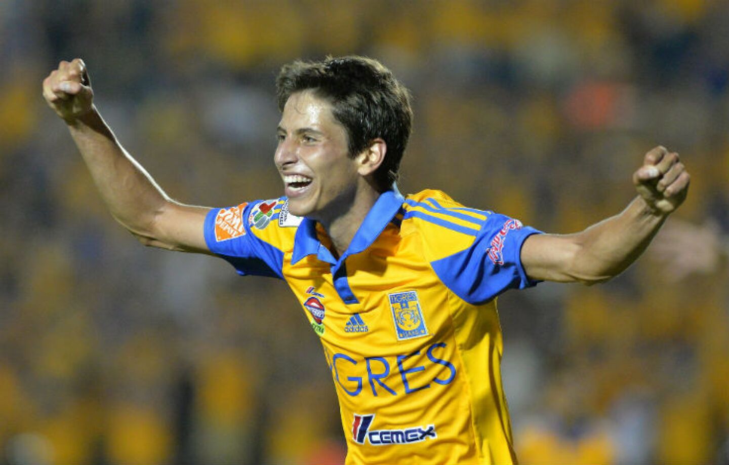 Jürger Damm Tigres