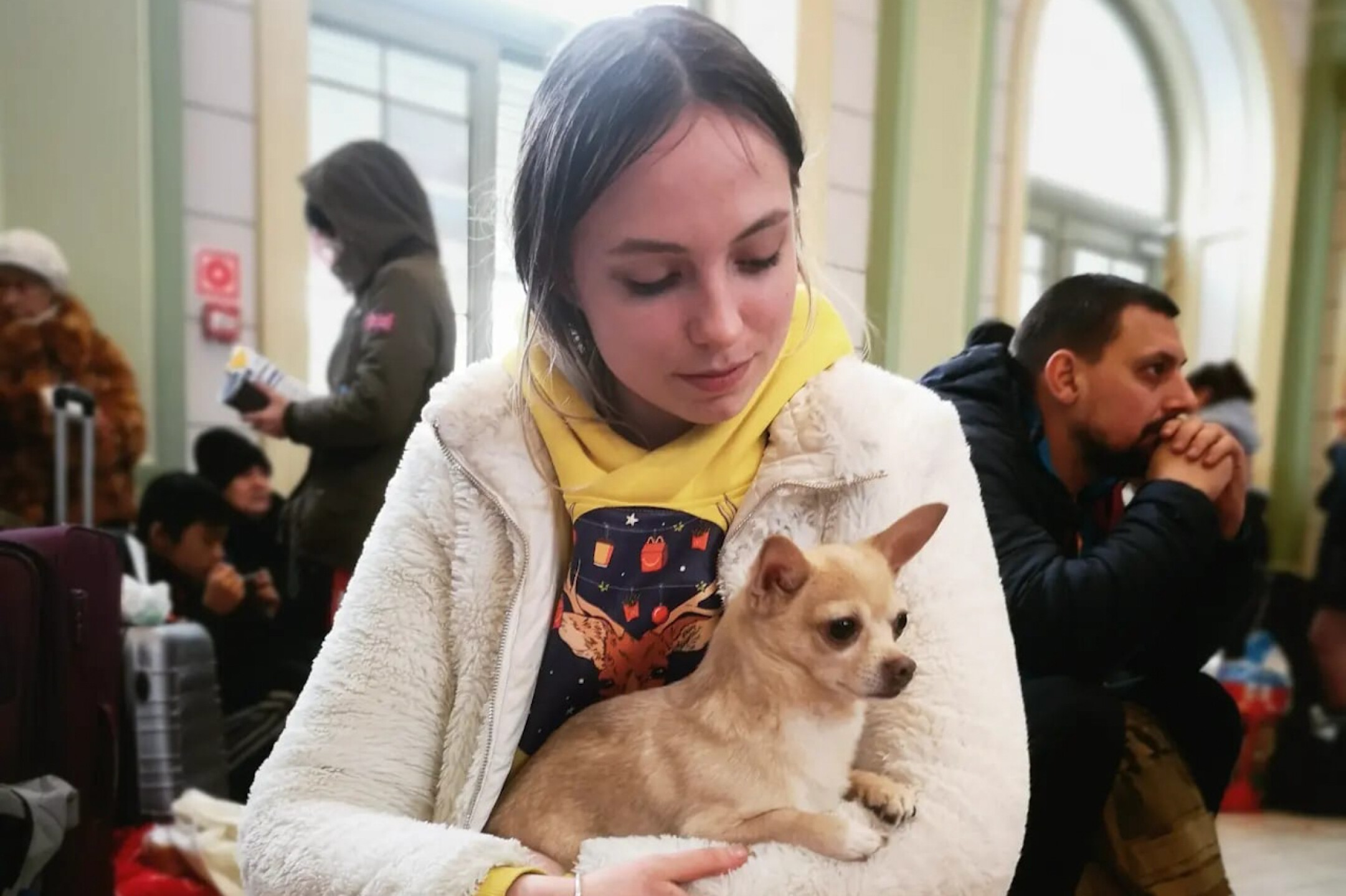 Ucrania-mascotas-Rusia-2