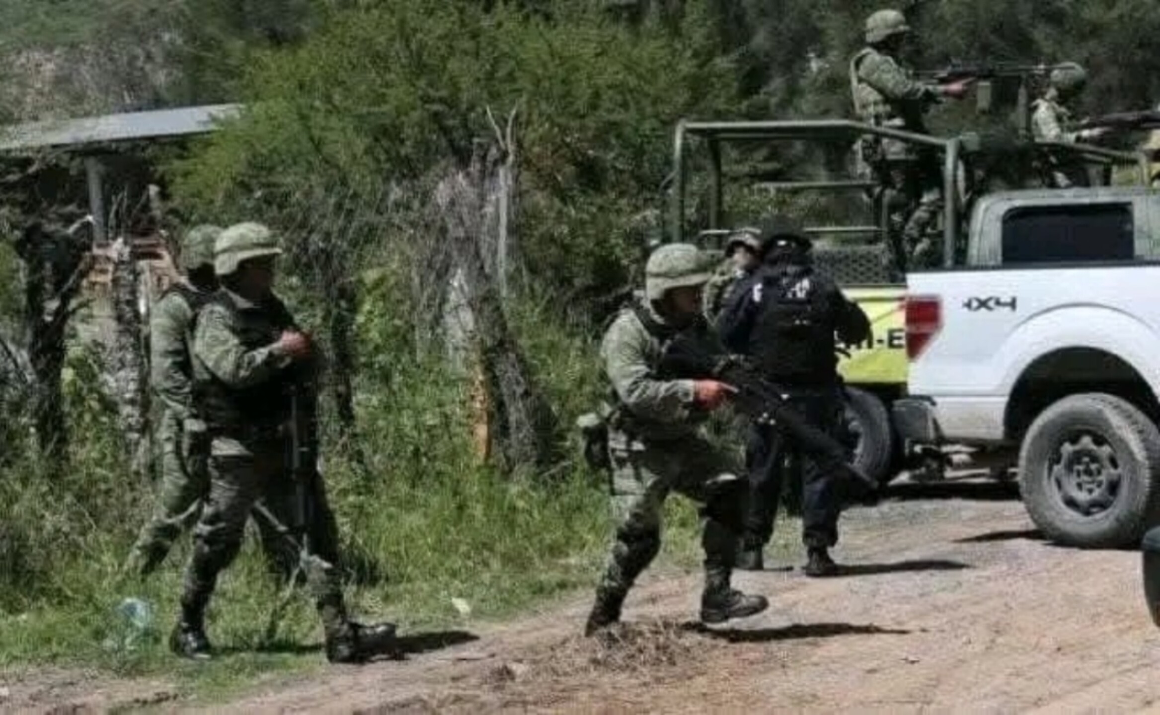 carteles del narco y terroristas