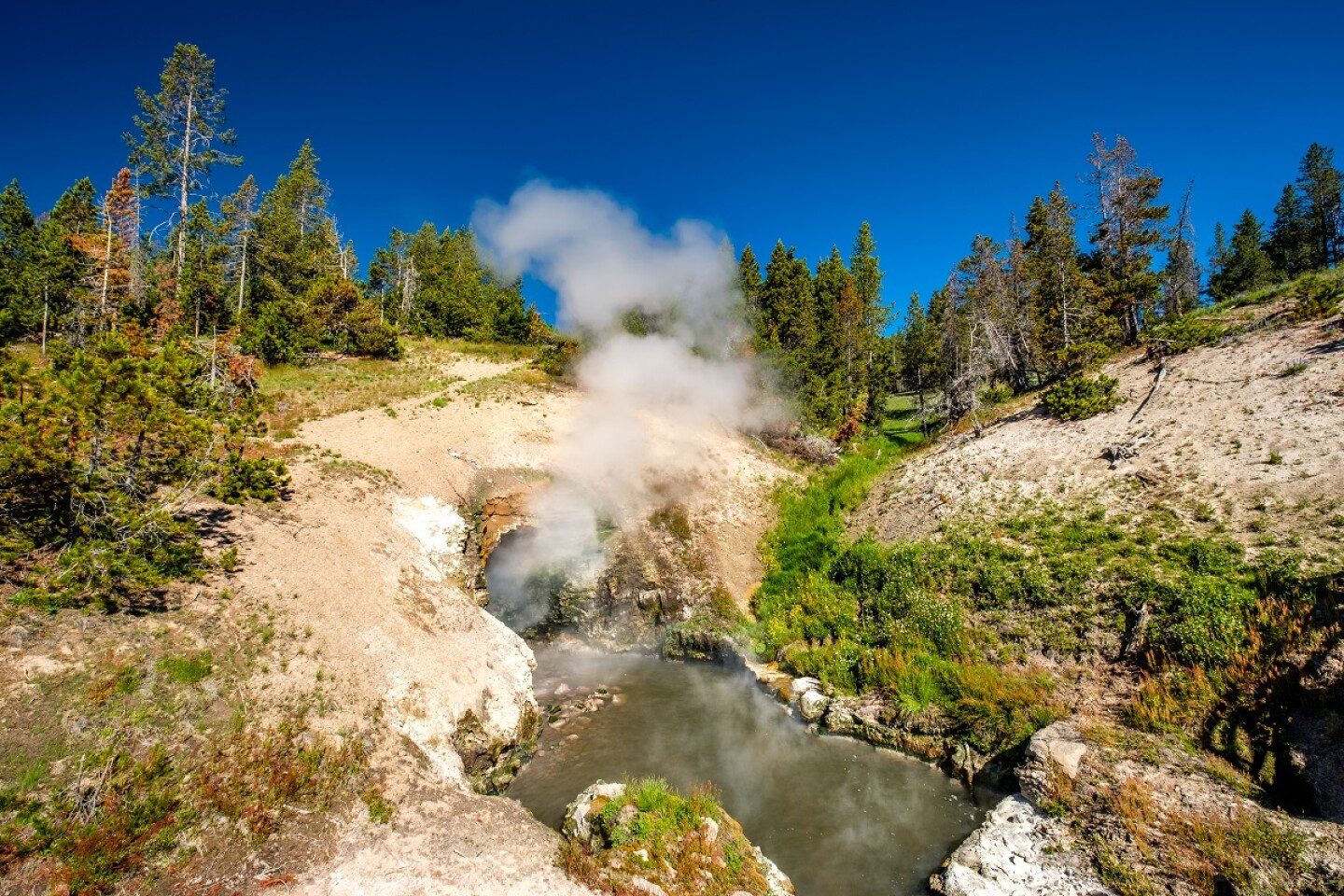 Barro hirviendo en el área del Volcán de Mud en el Parque Nacional de Yellowstone, Wyoming, EE.UU.