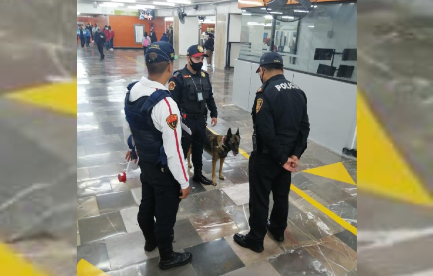 ejecentral_perros_drogas_cdmx