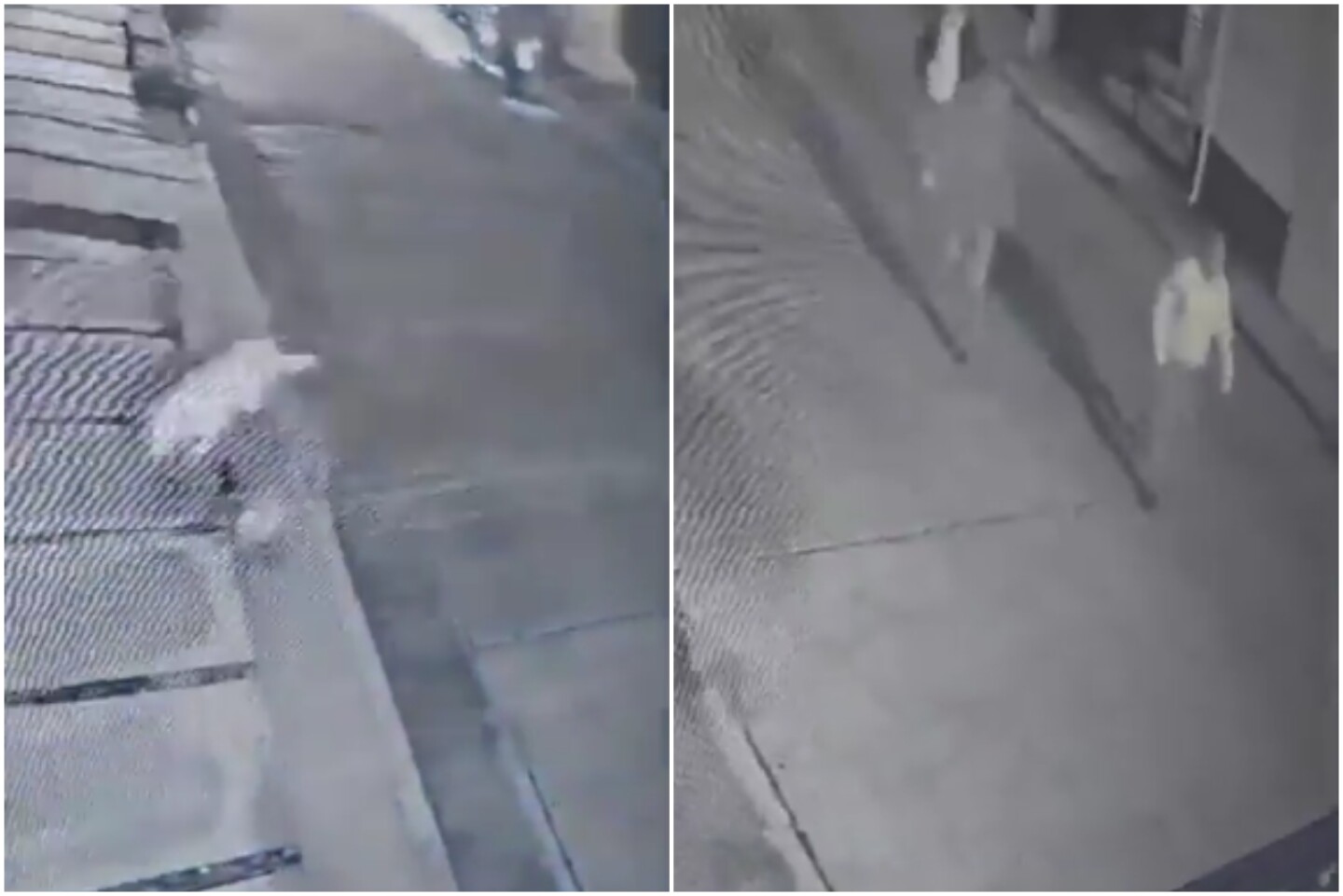 Tangancícuaro-michoacán