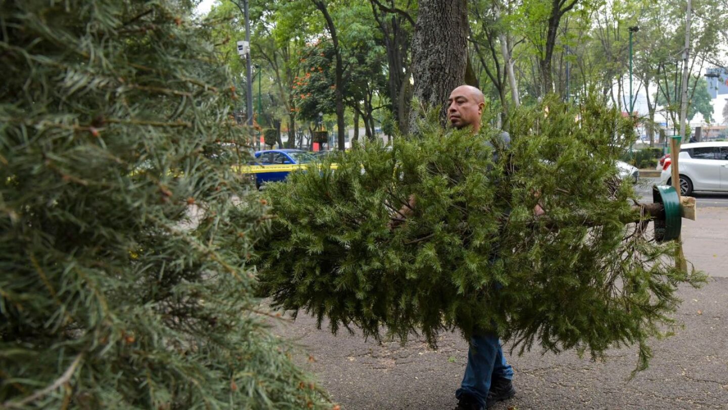 centros acopio árbol navidad CDMX.jpg