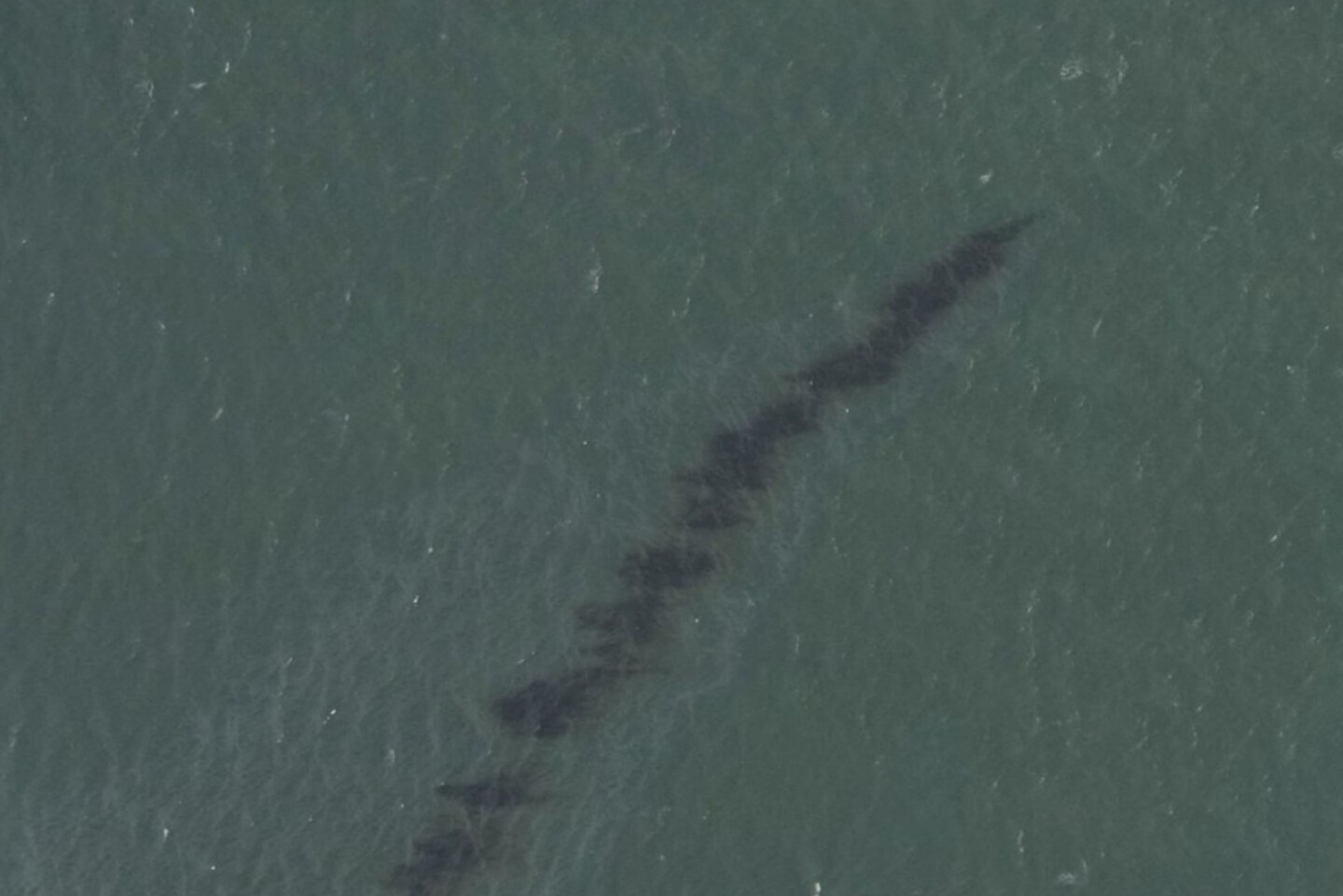 fuga-de-petroleo-huracan-ida-en-el-golfo-de-mexico