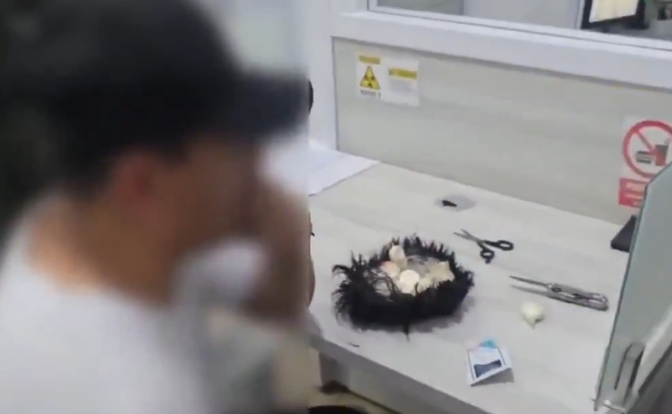 narcopeluca colombia.jpg