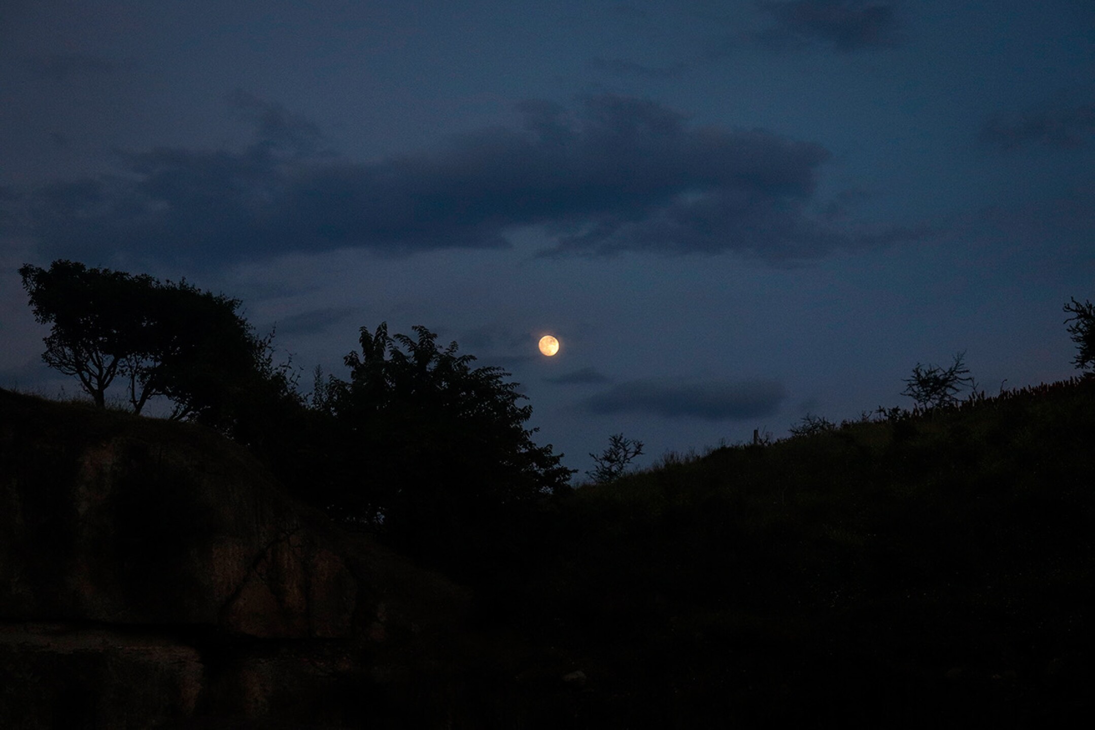 4C52FB00-ACEE-4C11-97C9-DF169F345291